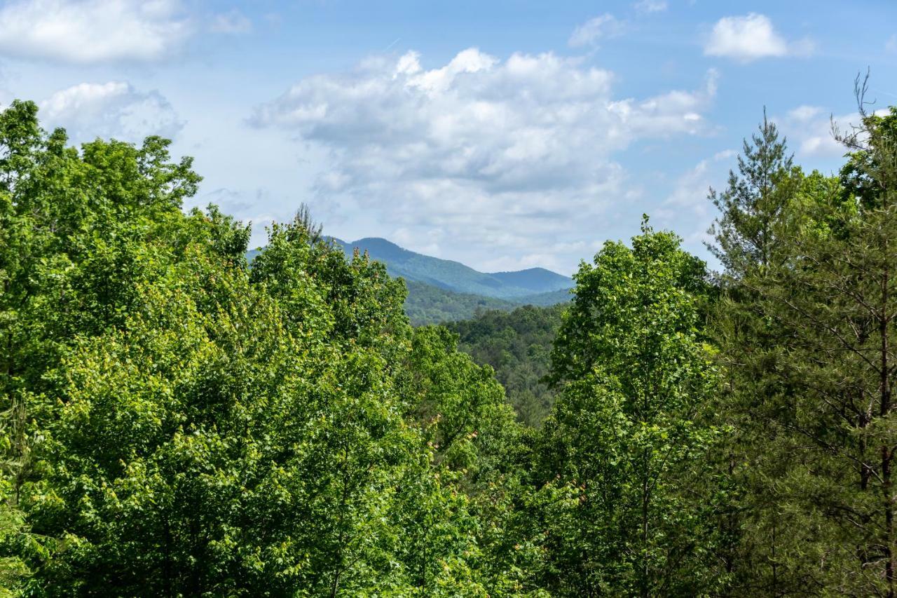 Day Dreamer Mineral Bluff Exterior photo